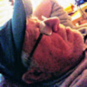 Meet your Posher, Bob